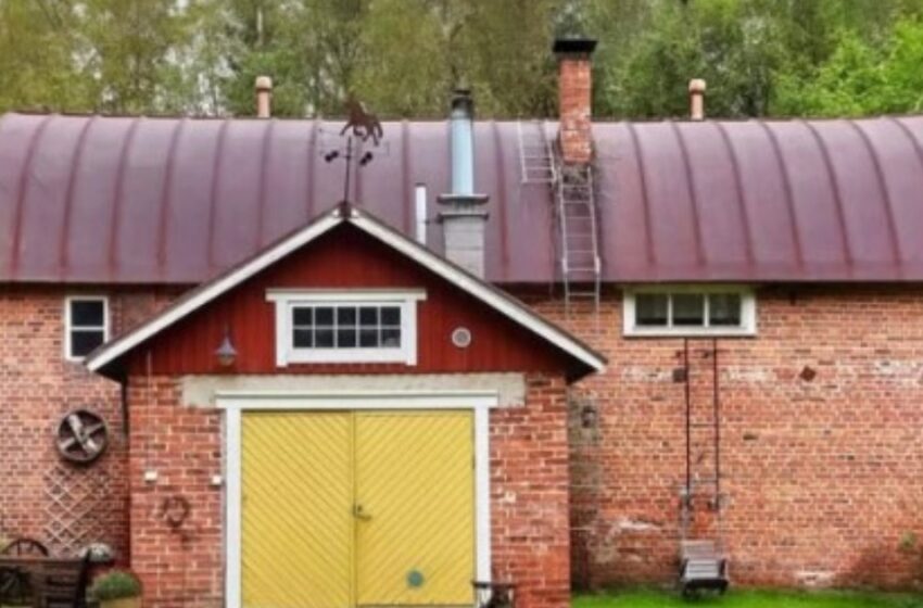  ¡La casa de ensueño de una jubilada: cómo transformó su vida después de los 50!