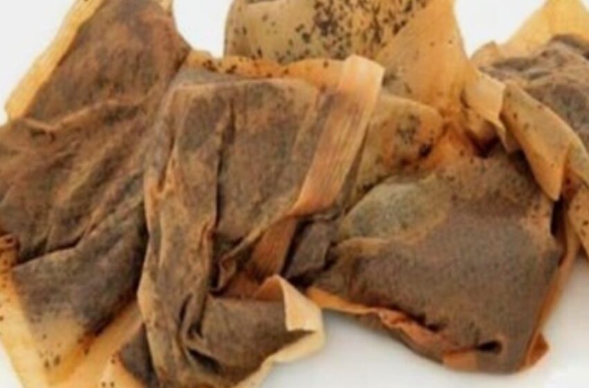 ¡Usos Geniales de las Bolsas de Té para el Hogar que Desearías Haber Conocido Antes!
