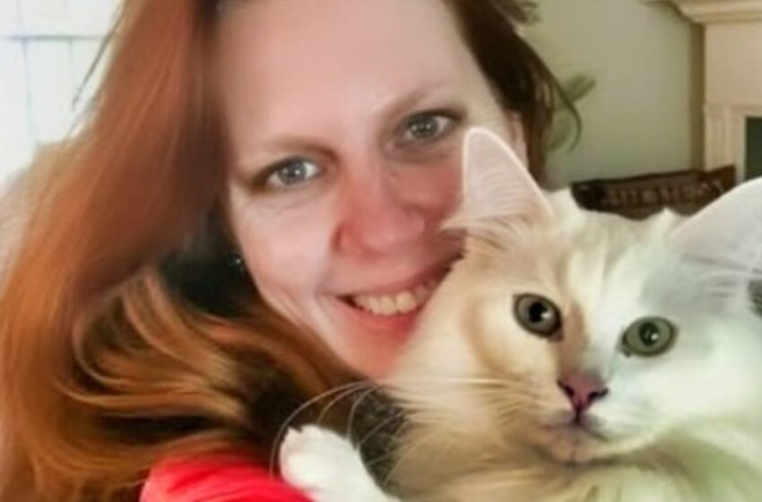 Cómo mi esposo y su madre se deshicieron de mi gato: ¡Mi vecino me ayudó a vengarme!