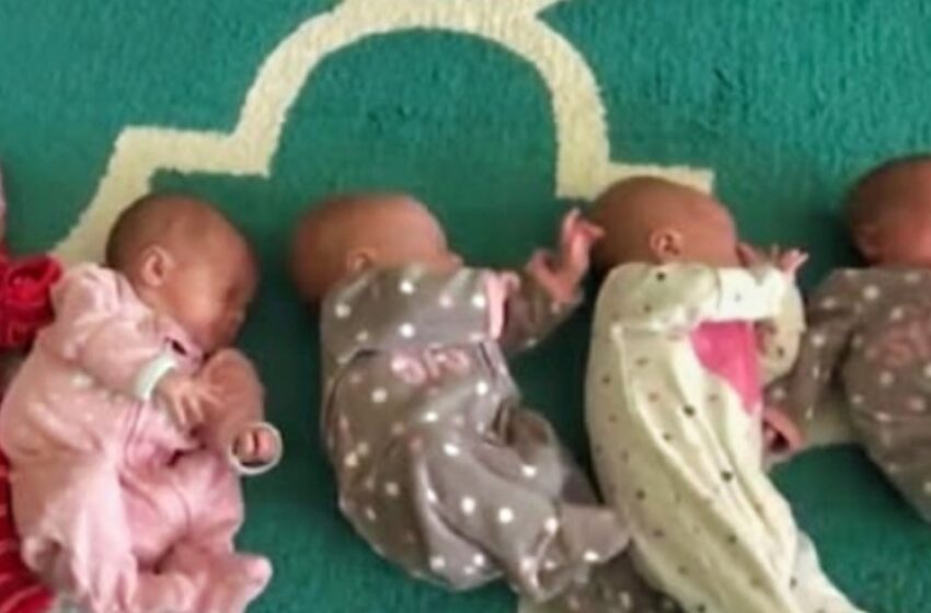 “Lo intentaron una última vez para tener una niña… ¡y llegaron quintillizos!” Pero esa no fue la única sorpresa