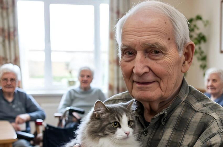  ¡El vínculo inquebrantable del gato del asilo de ancianos!: La desgarradora verdad que se reveló tras su partida.