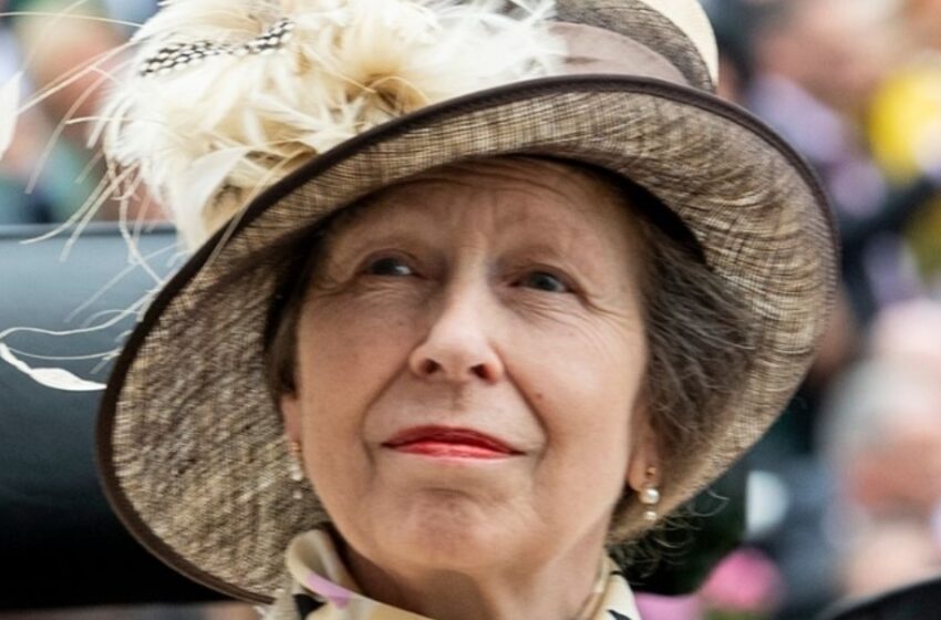  ¡La princesa Ana sorprende a sus fans a los 75 años con su primer cambio de peinado en 50 años!: ¿Cómo luce ahora?