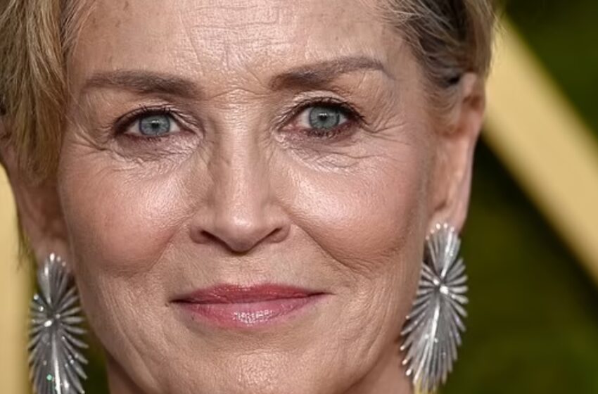  Sharon Stone’s Adopted Son Roan, 25, Stuns Fans with Twin-Like Resemblance on Rare Red Carpet Appearance!: See The Photos!