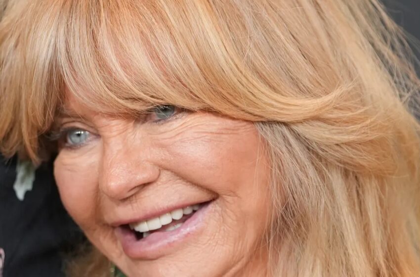 ¡La nieta de Goldie Hawn es su doble!: ¡Mira las fotos que lo demuestran!