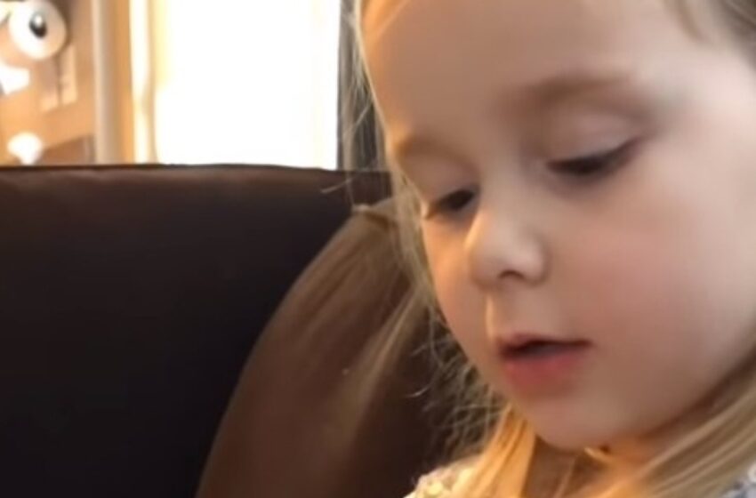 Niña canta “Tú eres mi sol” a su querido gatito en sus últimos momentos: ¡una desgarradora despedida!