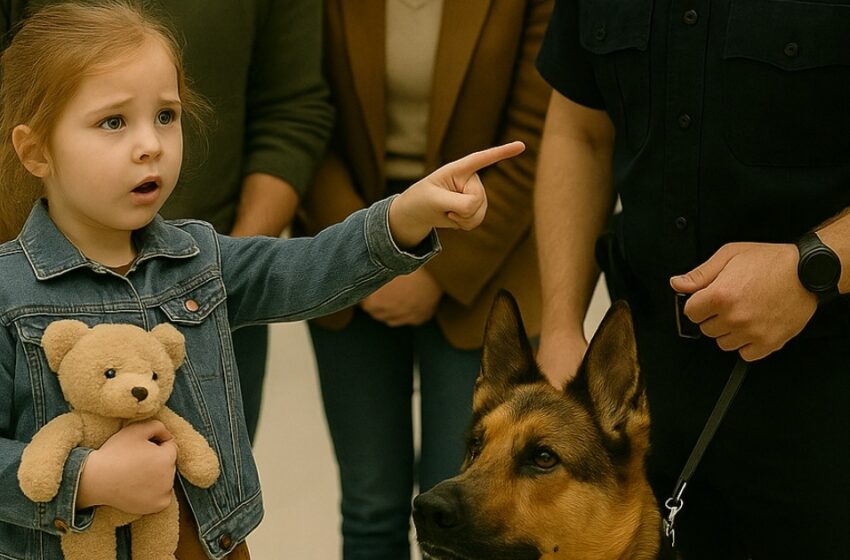 Un perro policial comenzó a ladrar furiosamente a una niña pequeña y a sus padres en el aeropuerto. Al minuto, el oficial comprendió: el perro les había salvado la vida a todos.