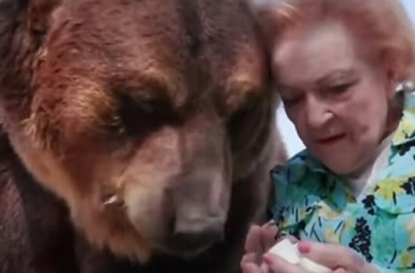  Recordando a Betty White: ¡la actriz que una vez besó a un enorme oso grizzly!