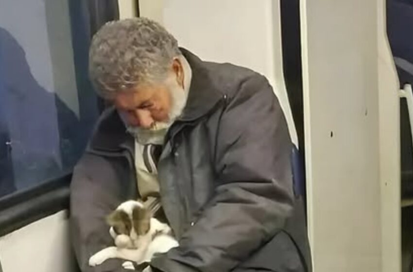 Él dijo que solo la estaba “calentando”: ¡Pero la historia de este pequeño gatito te derretirá el corazón!