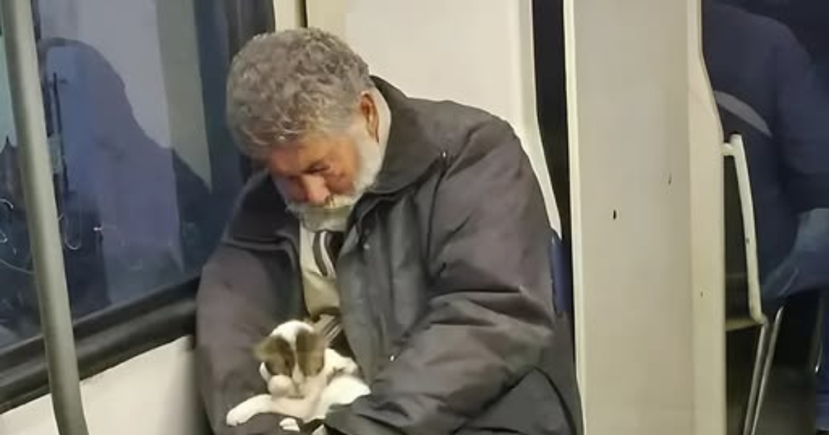 Él dijo que solo la estaba “calentando”: ¡Pero la historia de este pequeño gatito te derretirá el corazón!