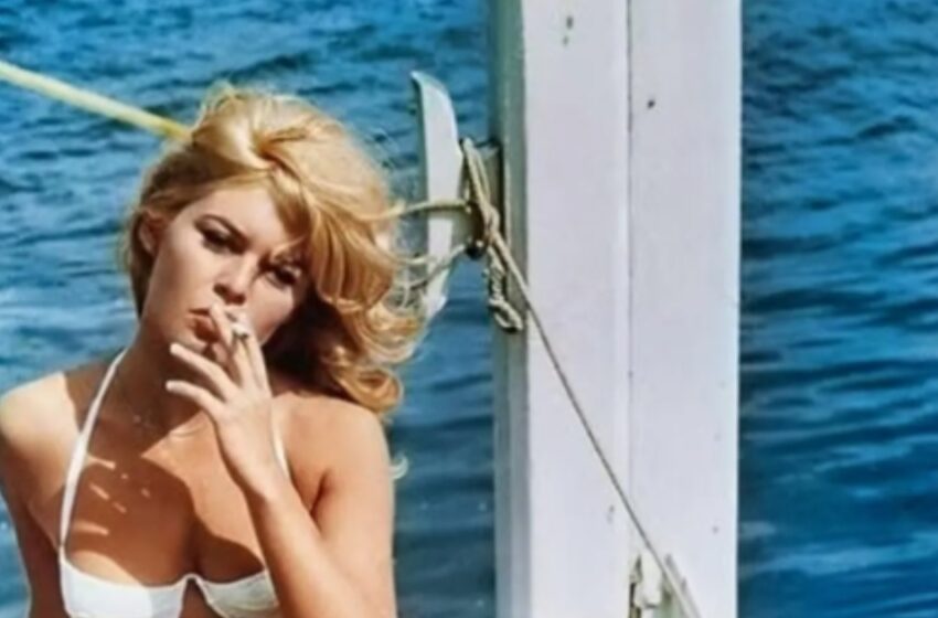 “No Voy a Abandonar Este Mundo”: ¡Brigitte Bardot, de 91 Años, Rompe el Silencio y Sigue Brillando como Ícono Legendario del Cine Francés!