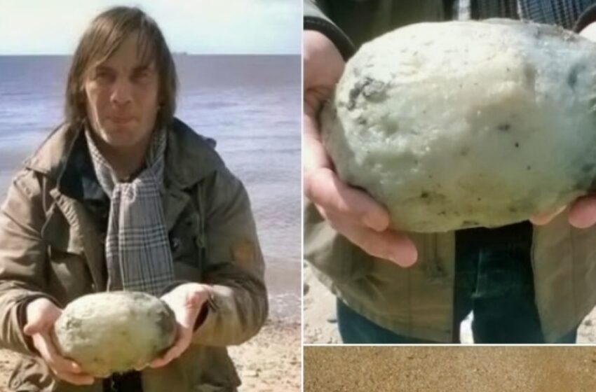  ¡Pareja descubre una “piedra común” que resulta ser un tesoro asombrosamente valioso! ¡Descubre todos los detalles!