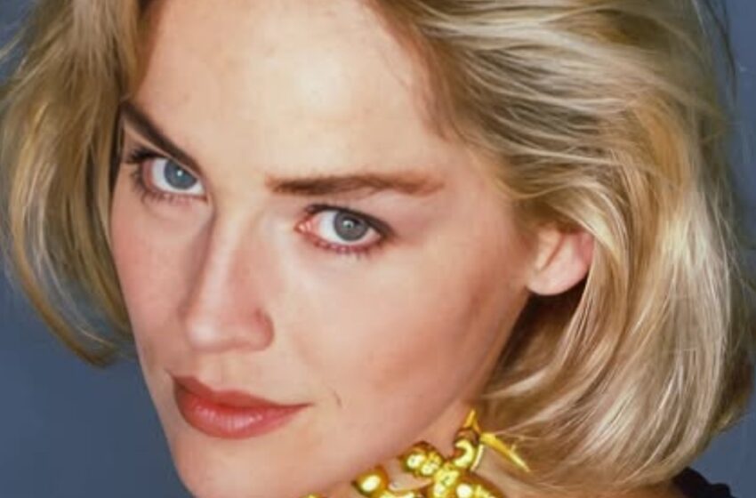  Sharon Stone, de 66 años, Comparte Foto Sin Maquillaje y La Reacción Fue Todo Menos Alegre: ¡Sus Fotos!