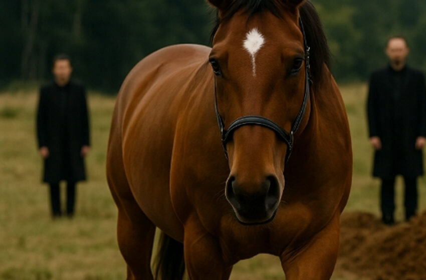  Durante el funeral, un caballo salió corriendo del bosque y se detuvo junto al ataúd. Nadie esperaba saber por qué había venido.