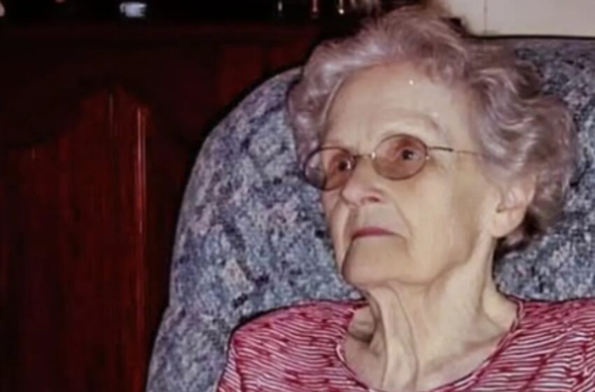  Vinieron por la casa, no por mí… ¡Así que decidí darles una lección que jamás olvidarán!