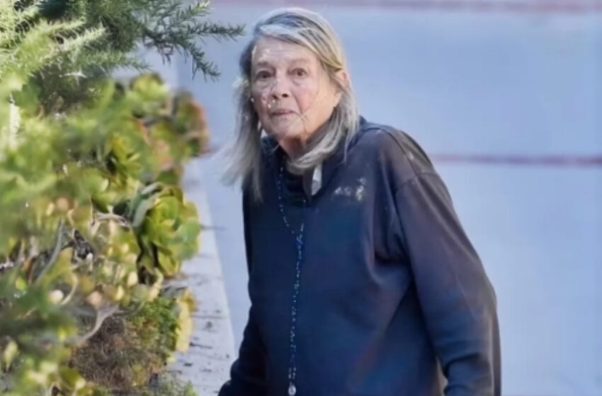  Avistamiento raro de una estrella legendaria de los años 70 — ¿Puedes reconocerla en esta inusual foto tomada en público?