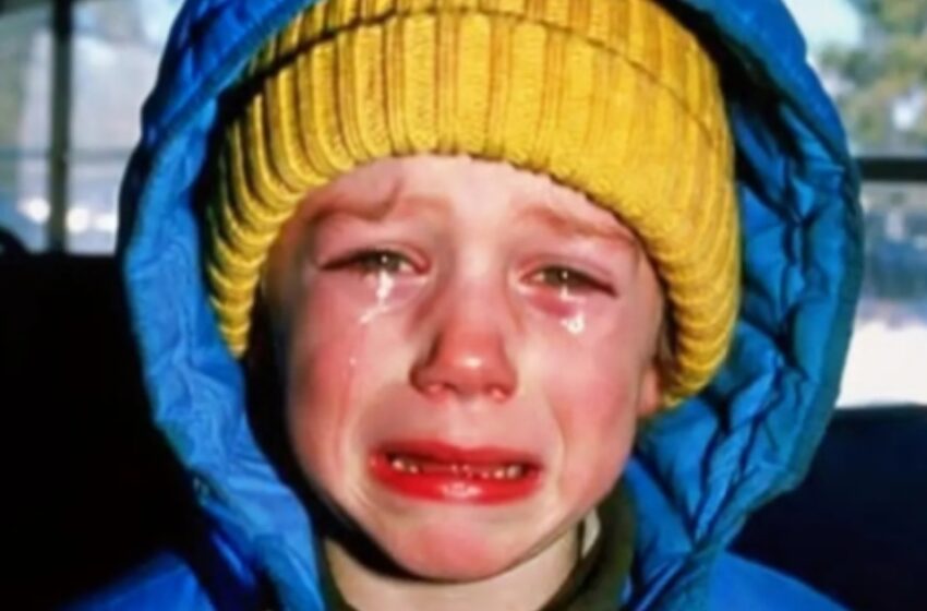  ¡Vi a un niño pequeño llorar en mi autobús escolar!: Lo que vi en sus manos me dejó sin palabras