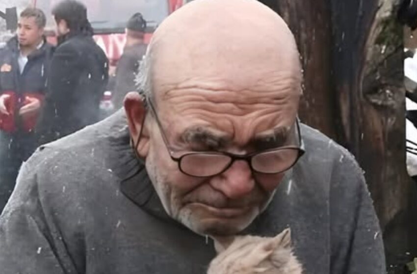  ¡Perdió todo en el incendio! Pero aferrarse a una pequeña vida le dio una razón para seguir adelante.