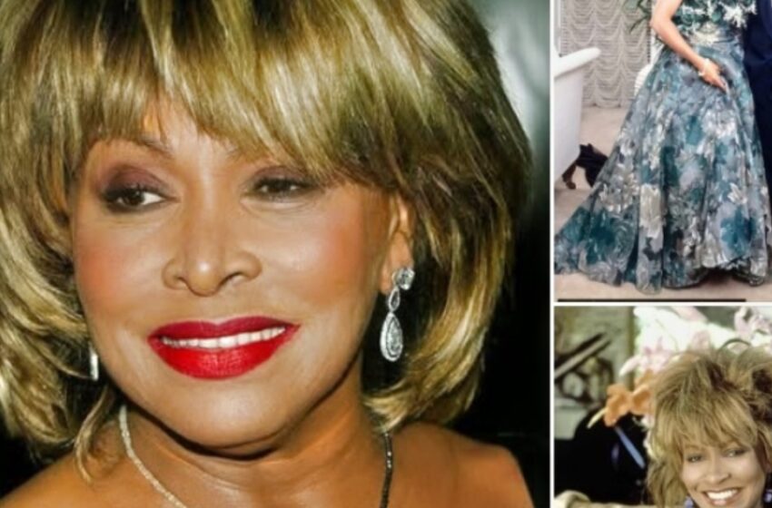  ¡Tina Turner, de 73 años, se casa con su segundo esposo tras 25 años de relación!: ¡Mira sus hermosas fotos!