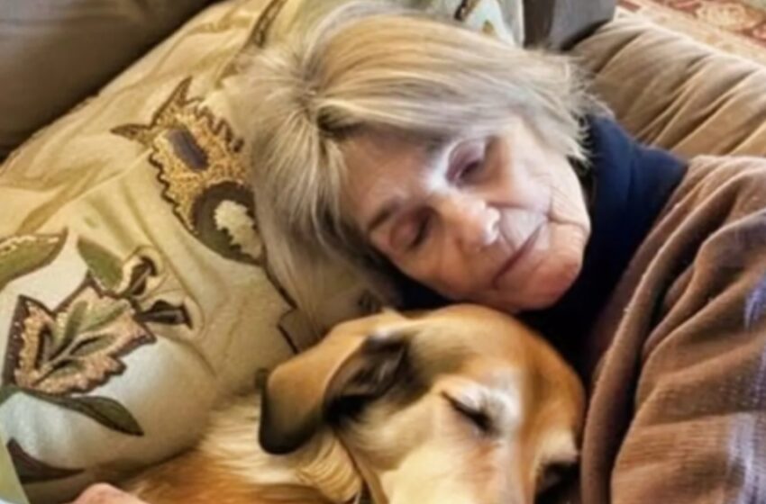  Cuando mi abuela no me dejó nada, ¡su último truco sorprendió a todos, incluso a mí! Descubrí lo que realmente había planeado.